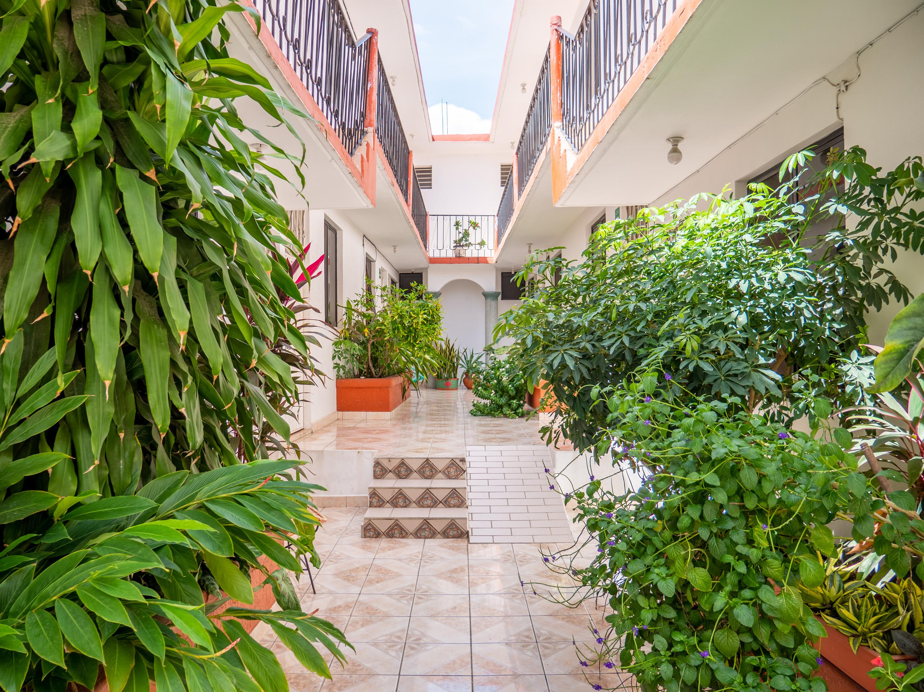 Oyo Hotel Arena Surf, Puerto Escondido מראה חיצוני תמונה